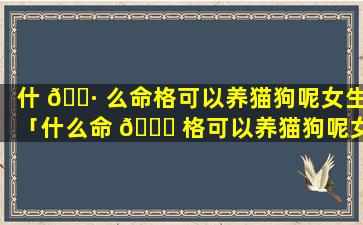 什 🌷 么命格可以养猫狗呢女生「什么命 🐈 格可以养猫狗呢女生名字」